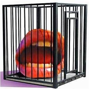 freespeech  SHUT EM UP!   Too much freedom in the name of creative expression