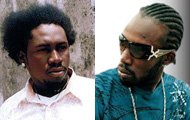 Foota Hype leaves Cassava Piece