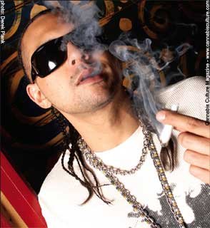 Sean Paul Debuts Atop Billboard Rap Album Charts, Sells Gold In France Sean Paul Debuts Atop Billboard Rap Album Charts, Sells Gold In France