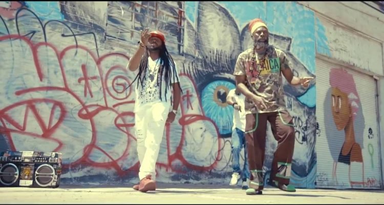 Arise Roots