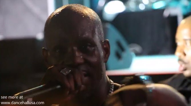 dmx 9 mile festival