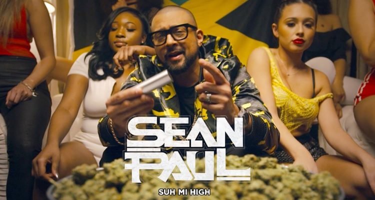 Sean Paul - Suh Mi High